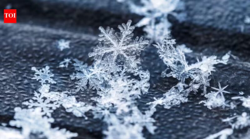 Canadian proverb of the day: 'No snowflake lands the same twice' — Even the smallest moments in life never repeat in the same way, no matter how similar they seem