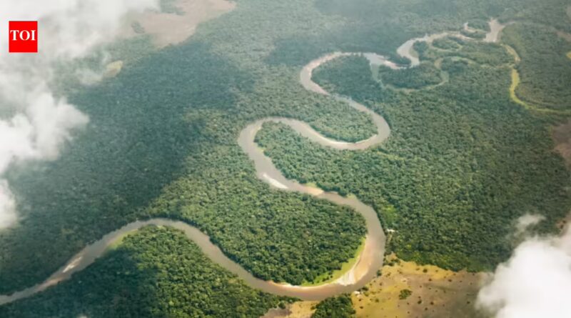 Congo River: Congo River releases 40,000 cubic metres of freshwater into the Atlantic every second. Scientists trace where it goes