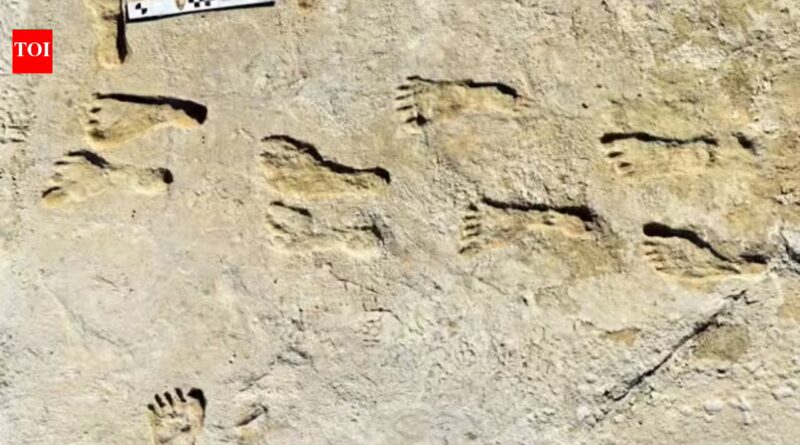 23,000-year-old footprints in White Sands are rewriting the story of the first humans in the Americas | World News