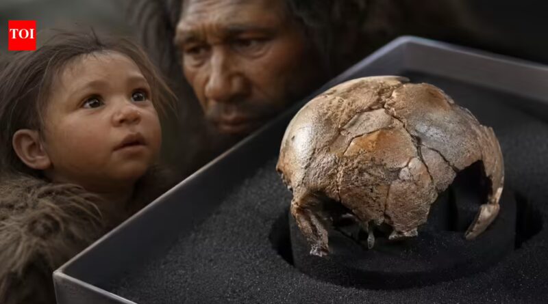 Rare Neanderthal baby fossil reveals our ancient relatives may have begun life much like modern humans | World News