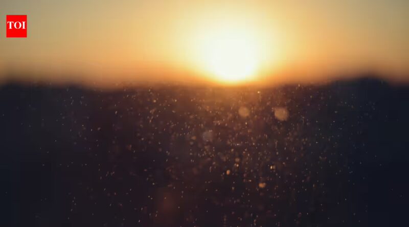 Best proverb of the day: 'Even the sun negotiates with dust to make a shadow', where even brilliance must bargain with resistance