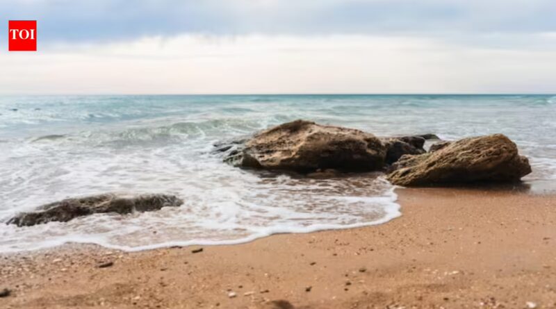Best proverb of the day: 'The ocean keeps every secret, but charges salt for storage', and every hidden truth returns altered by time and chemistry