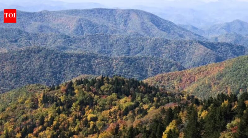 Buried treasure: Appalachian Mountains hold enough lithium to make 500 billion smartphones and 130 million electric vehicles, scientists discover | World News
