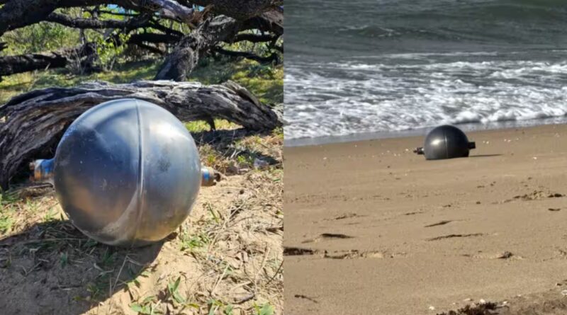 Mysterious 'space balls' twice the size of basketballs wash ashore on Australian beach, scientists say the discovery is more common than many people think