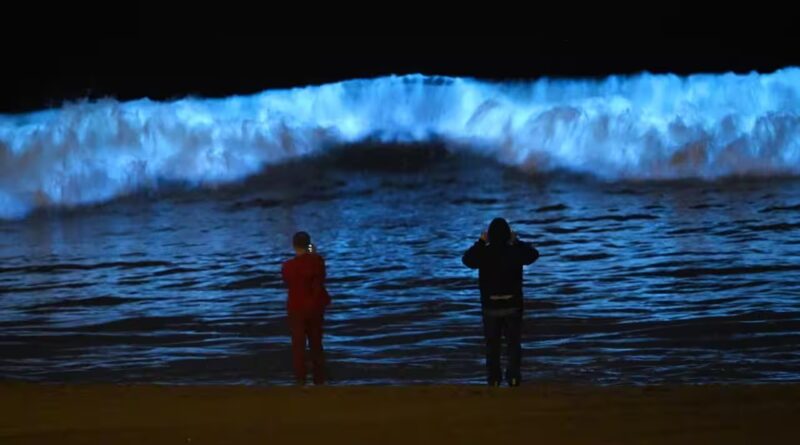 Why do California’s beaches glow blue at night and what causes this stunning bioluminescent phenomenon | World News