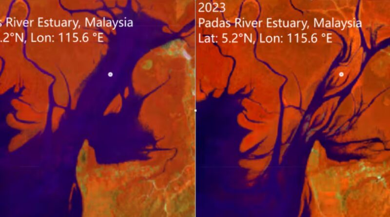 Satellite images reveal global mangrove recovery: Nasa study shows forests springing back, but rising seas could still drown them |