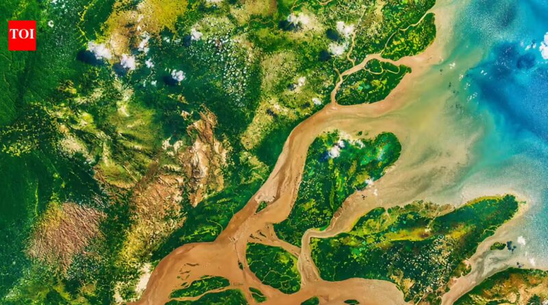 The Amazon is the world's largest river, yet not a single bridge crosses its main channel | World News