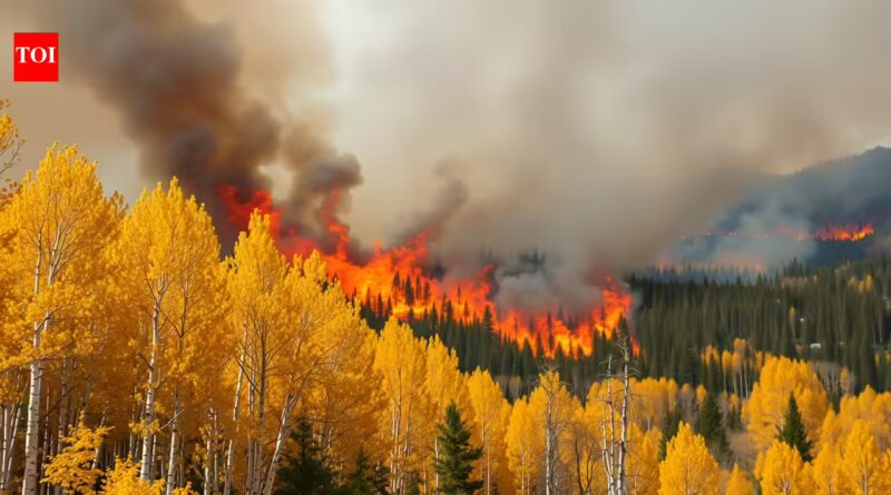 Not all trees fuel wildfires: Aspen tree species can actually slow or even stop them |