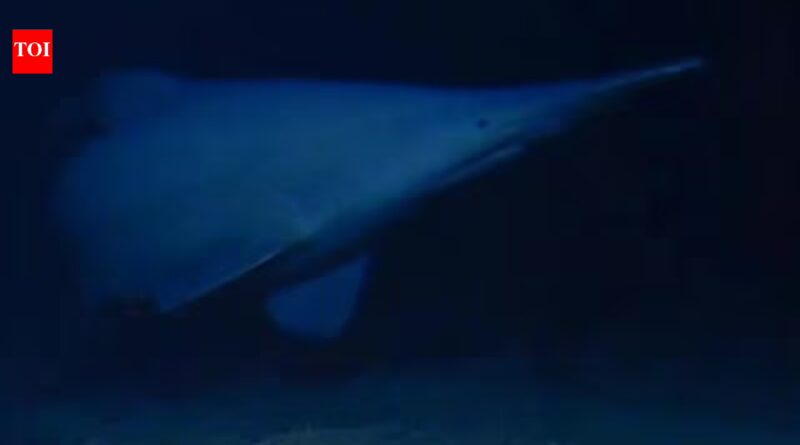 Scientists have filmed a rare 125-million-year-old goblin shark alive in its natural deep-sea habitat for the first time, revealing a new depth record and a wider Pacific range