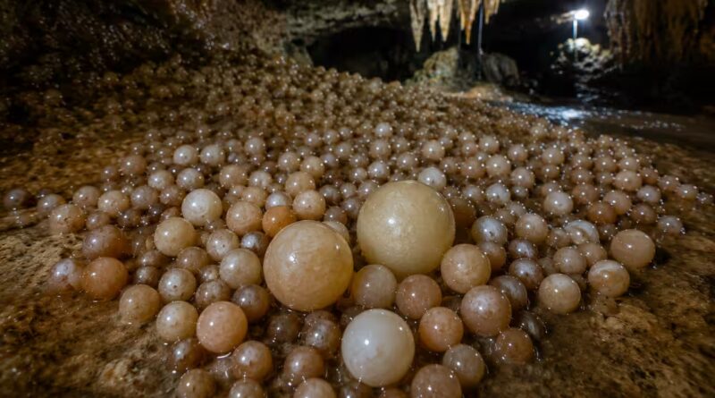 Researchers discover cave with rare cave pearls in Vietnam's Phong Nha-Ke Bang National Park | World News