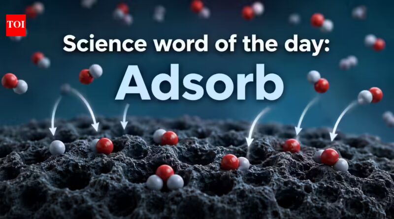 Adsorb: Science word of the day: Adsorb, know its meaning, who introduced the term, and its practical applications |