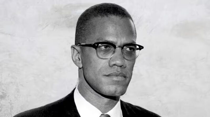 Quote of the day by Malcolm X: 'A wise man can play the part of a clown, but a clown can't play the part of a wise man'