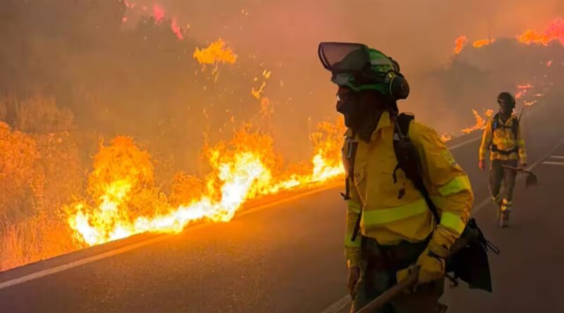 Foreigners among 12 killed in Spanish wildfire, 23 missing