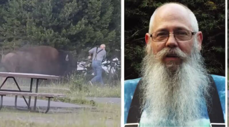 65-year-old grandfather attacked by a Yellowstone bison was cracking jokes despite breaking multiple bones | World News