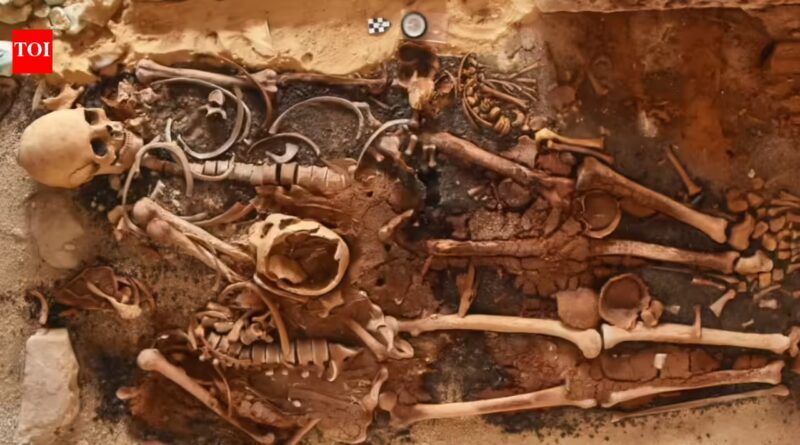 Ancient Egyptian Tombs: Excavation uncovers 18 ancient Egyptian tombs with golden tongues for afterlife |
