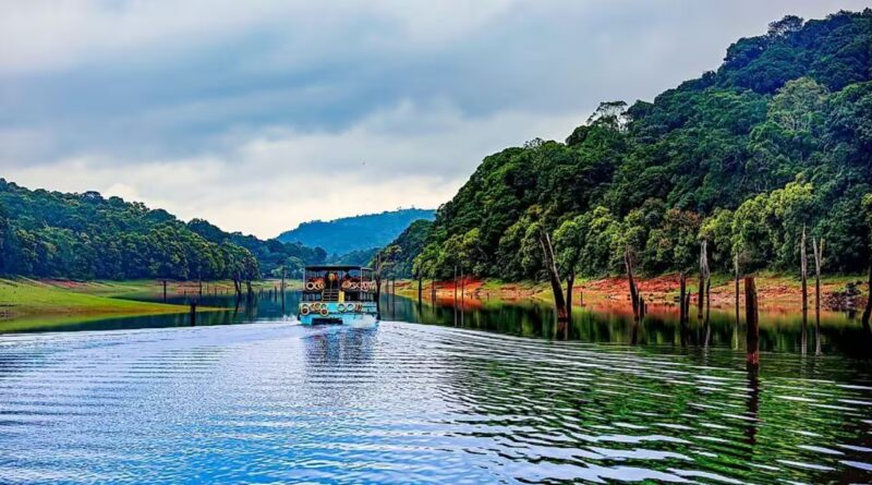 5 lakes with underwater forests: From Clear Lake to Caddo Lake | World News