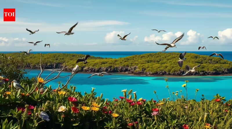 Mauritius spent more than 40 years removing invasive rats, cats and goats from its offshore islands, helping endangered seabirds return after decades | World News
