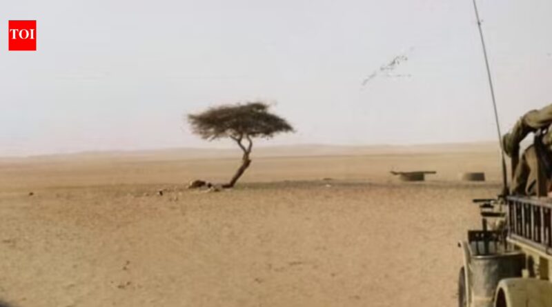 The world's loneliest tree had no other tree within 400 km across the Sahara Desert and roots over 30 metres deep to reach hidden groundwater, then one drunk truck driver knocked it down after 300 years of survival | World News