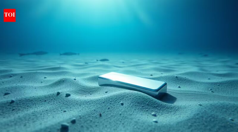 In 1622, a Spanish ship sank off Florida carrying silver and gold, but divers have just found the first silver bar from the wreck in nearly 30 years | World News
