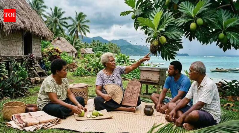 Fijians predict when a cyclone is approaching using bees, breadfruit and ancient wisdom | World News
