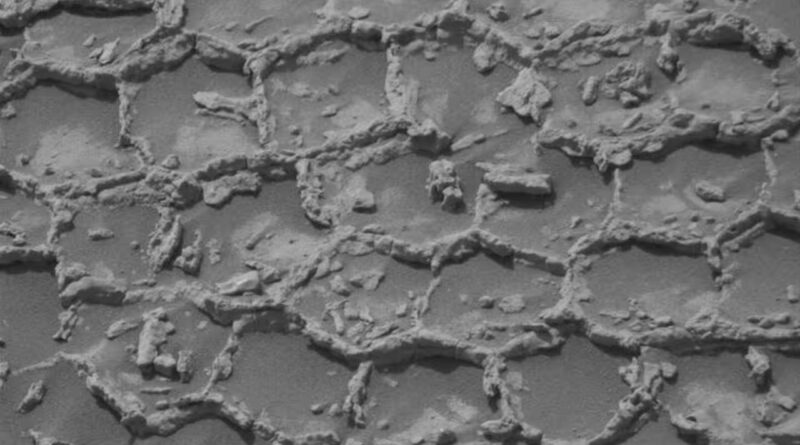 NASA's curiosity rover spots mysterious honeycomb pattern on Mars, leaving scientists puzzled over its origin