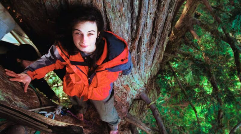 Meet Julia Butterfly Hill: The 23-year-old woman who climbed a 1,000-year-old tree and stayed there for 738 days to save it from being cut down | World News