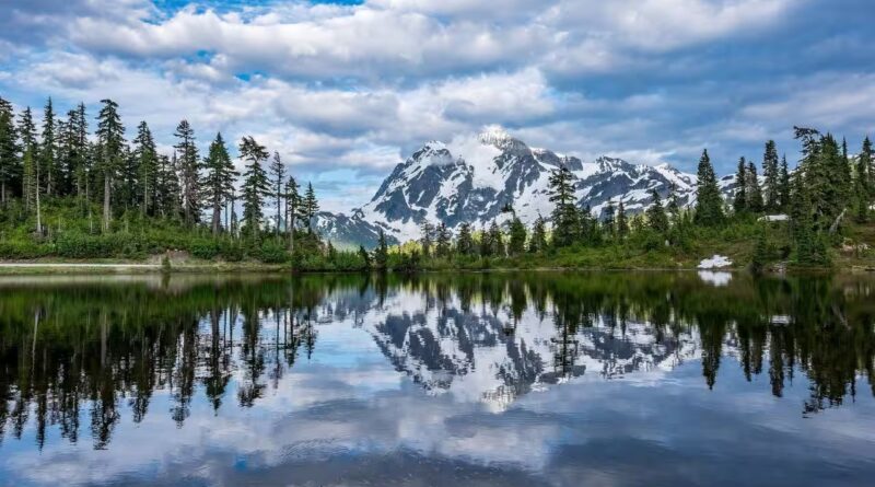 How to protect yourself around dangerous North American wild animals: Essential safety tips for your national park visit | World News