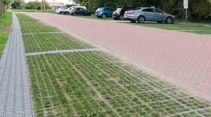 Dutch cities are replacing solid concrete surfaces with grass-filled paving blocks that absorb rainwater and help keep urban areas cooler |