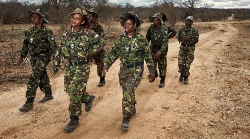 Meet the Black Mambas: In one of South Africa's regions hardest hit by poaching, 36 unarmed women patrol the frontline and protect endangered rhinos | World News