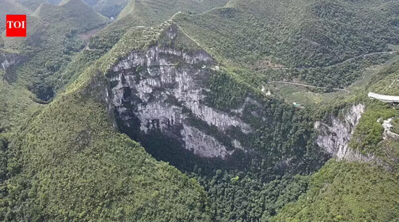 China’s giant sinkholes are protecting an endangered magnolia tree, but they may also be trapping its future