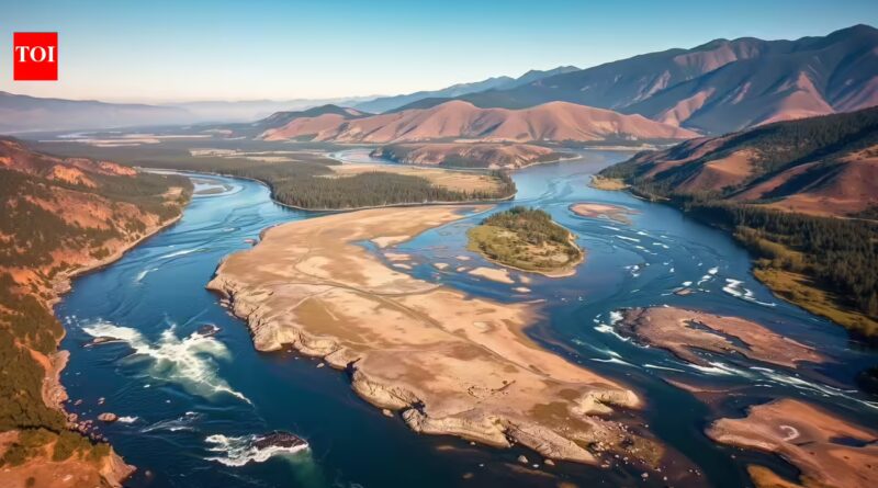 Four ageing dams were removed to restore the Klamath River, but wildfire crews now face a new challenge as the reservoirs disappear | World News