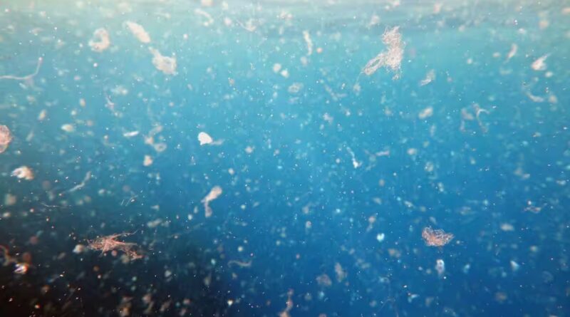 Tiny plastics in drinking water may help harmful bacteria form stronger biofilms that resist disinfectants, raising new concerns for water treatment systems