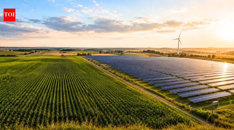 Illinois farmers are making up to $200,000 a year without growing more crops as solar companies offer long-term leases worth up to $2,000 per acre | World News