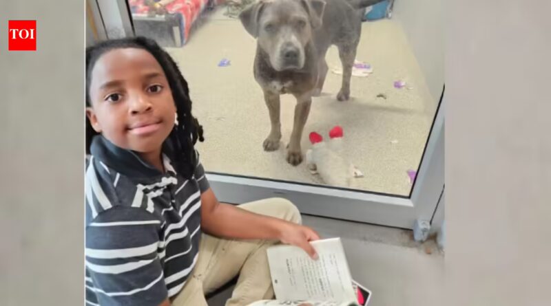An 11-year-old boy is bringing storytime to shelter animals, reading to dogs and cats so they feel calmer while waiting for forever homes