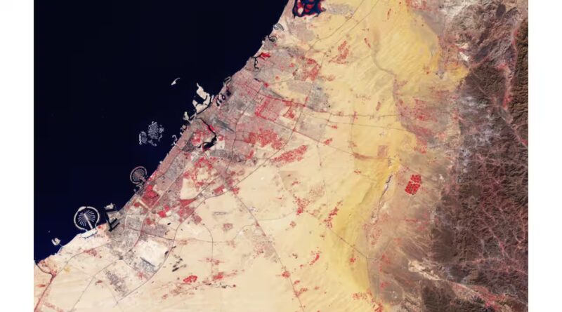 Dubai's Palm Jumeirah is so massive it remains visible from space more than two decades after it was built | World News