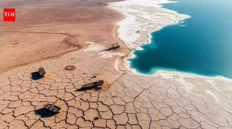 The Aral Sea's disappearance became one of the world's greatest environmental disasters, but one corner refused to die |