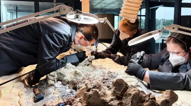 Scientists found a 2,865-pound predator from before dinosaurs ruled Earth; now 2,000 ordinary people are helping reveal its skeleton
