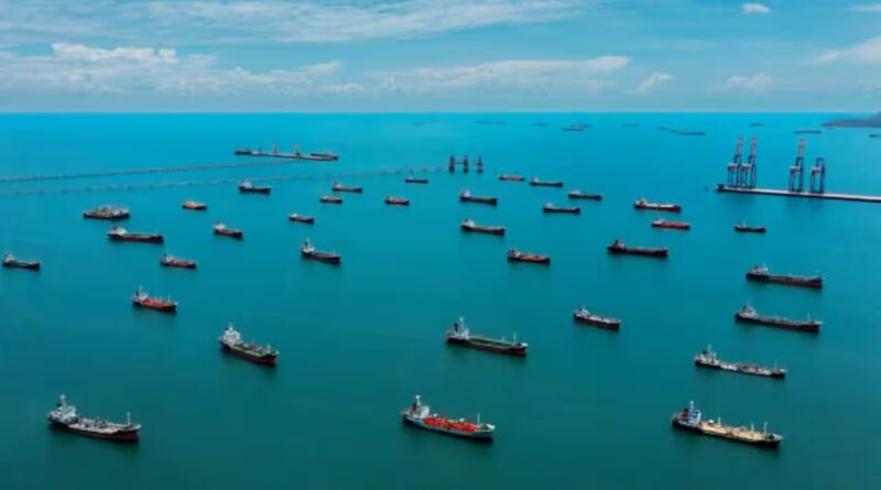 Thousands of idle ships trapped near the Strait of Hormuz could become floating nurseries for invasive marine species and spread them worldwide when trade resumes |