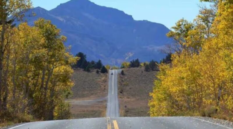 California will spend $36.4 million repairing Ebbetts Pass, one of the last wild trans-Sierra routes, where the highway climbs above 8,000 feet and narrows to one lane