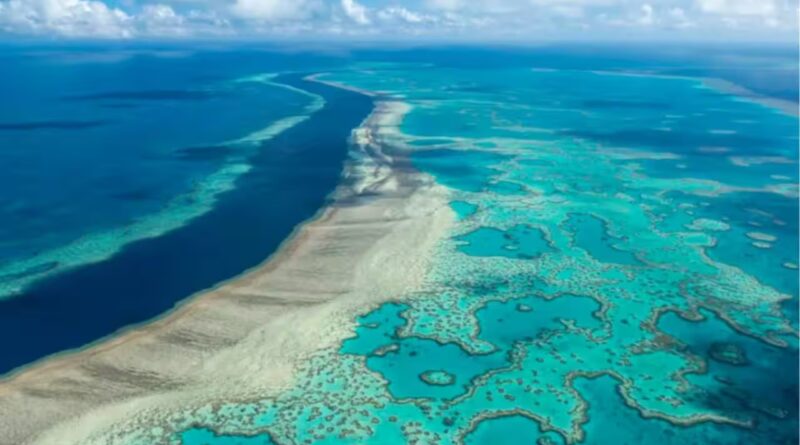 Great Barrier Reef: Scientists mapped the invisible microbiome of the Great Barrier Reef and found more than 500 new bacterial species and over 300,000 viruses in its waters