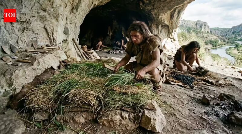 How ancient humans made their beds: 200,000-year-old grass reveals a prehistoric cleaning routine | World News