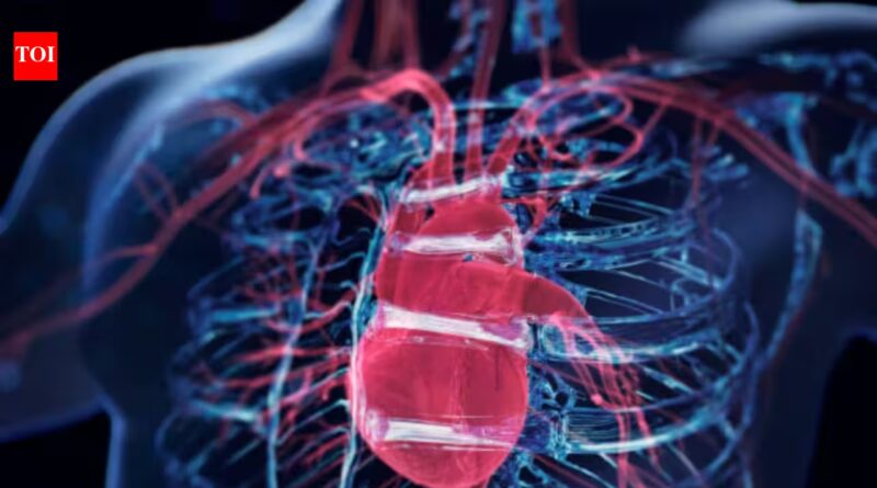 Scientists discover a surprising 'brain' hidden inside the heart: Formed by neurons, it controls the heartbeat and protects the organ during stressful situations |