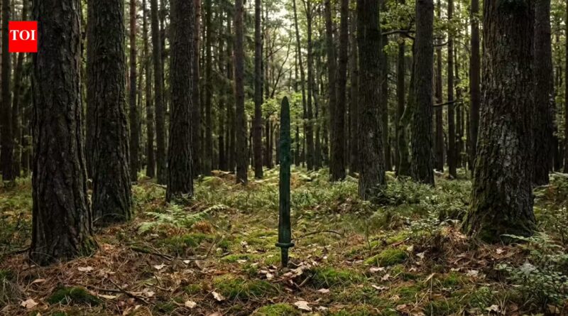 2,700-year-old sword found standing upright in a Polish forest may reveal a forgotten Bronze Age ritual | World News