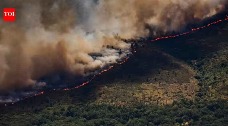 Spain Wildfires: 'All out of control': Spain invokes first wildfire emergency as fires rage across Europe; over 10,000 evacuated