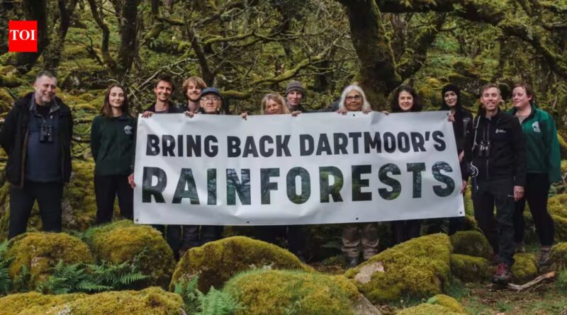Duchy: Prince William’s Duchy of Cornwall is helping double one of England’s last surviving temperate rainforests, where 1,250 young trees have already been planted