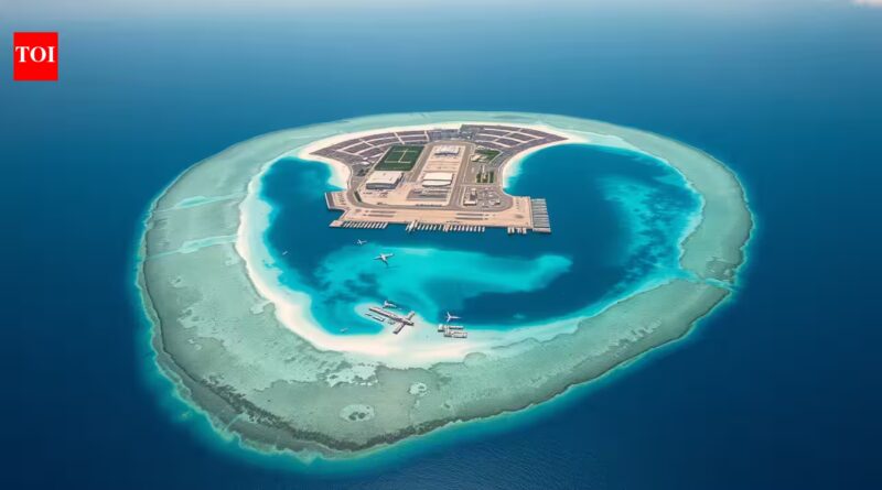 Diego Garcia became one of the world's most strategic military bases after its entire population was removed from the island | World News