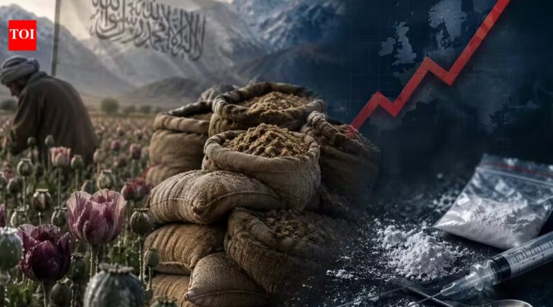 Afghanistan: The Taliban's Trojan horse: What really happened after Afghanistan's opium ban