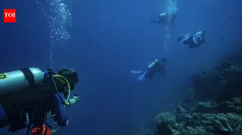 Most scuba divers believed they rarely touched reefs; underwater observers found more than 40% of contacts caused visible damage