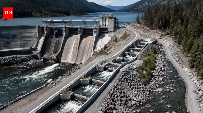 Built in 1948, Mud Mountain Dam gets a $112 million fish passage project to help salmon migrate | World News