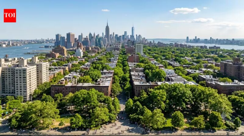 New York spent 8 years planting one million trees. Now the city is aiming for 30% tree cover by 2040 to transform its fight against rising heat | World News